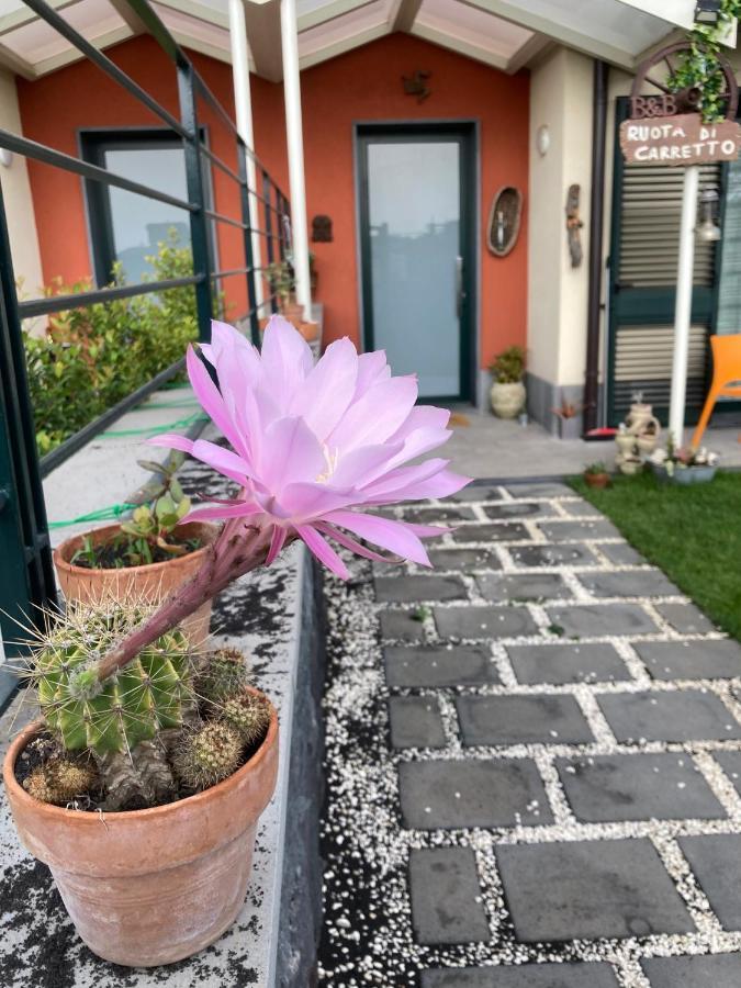 B&B Ruota Di Carretto Nicolosi Extérieur photo
